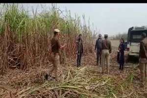 बहराइच: गन्ने के खेत में मिला तेंदुए का शव, पोस्टमार्टम के लिए बनाई गई टीम