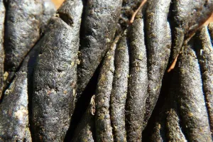 किच्छा: मुखबिर ही करने लगा चरस की तस्करी, गिरफ्तार 