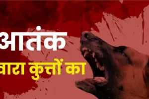 बरेली: हिंसक कुत्तों का आतंक जारी, पांच वर्षीय मासूम को नोच डाला