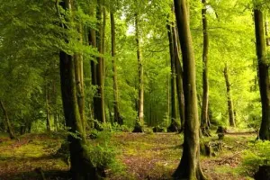 हल्द्वानी: शहर में प्रस्तावित जू के लिए बनाया जाएगा दस साल का मास्टर प्लान 