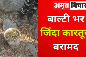 औरंगाबाद में बाल्‍टी भर जिंदा कारतूस बरामद, पहले मिले थे 162 IED