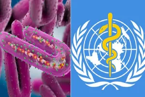 Marburg Virus Outbreak : अफ्रीकी देशों में फैल रहा 'मारबर्ग वायरस', इस देश में नौ लोगों की मौत, WHO ने बुलाई बैठक 
