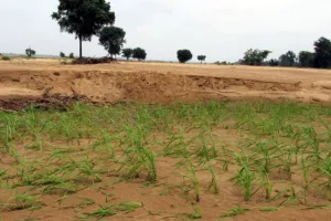 बरेली: बीडीए ने 20 दिन में किसानों से 100 करोड़ की 15 हेक्टेयर जमीन खरीदी