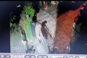 नैनीताल: कुत्तों से डरकर भागा गुलदार, होटल परिसर में घुसा 