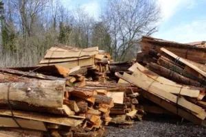 गरमपानी: अब टैक्सी यूनियन ने भी उठाई लकड़ी टॉल स्थानांतरित किए जाने की मांग