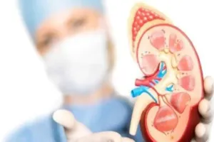 किडनी को रोगमुक्त कर सकती है आयुर्वेदिक दवा नीरी केएफटी, नए अध्ययन में खुलासा