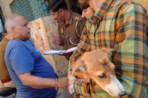 बरेली : मालिक की शह पर क्रूरता की हदें पार, पहले प्रेग्नेंट कुतिया पर डाला तेजाब, अब कुत्ते के सिर पर सरिया से किया हमला 