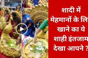 Video: शादी में मेहमानों के लिए खाने का ये शाही इंतजाम देखा आपने ?, आप भी कहेंगे- काश मैं भी वहां होता 