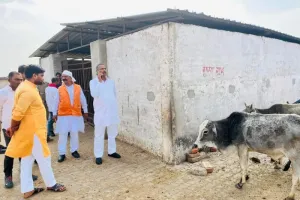 चित्रकूट: विधायक को औचक निरीक्षण में मृत अवस्था में मिले गोवंश, कठोरतम कार्रवाई के निर्देश