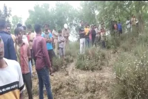 बहराइच: पेड़ पर फंदे से लटकता मिला युवक का शव, इलाके में सनसनी