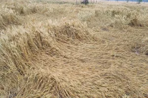 प्रयागराज: तीन अंतर्जनपदीय वाहन चोर गिरफ्तार, छह बाइक बरामद