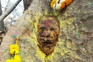 बहराइच के इस गांव में पीपल के पेड़ में उभरी आकृति तो भक्तों ने लगाए जयकारे, बोले- हनुमान जी ने दिए दर्शन