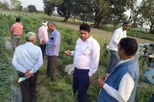 खेती की नई तकनीक पर जोर दें किसान :कमलेश 