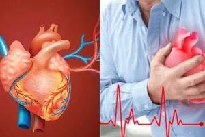  हार्ट की नसें ब्लॉक...दिख रहे ये लक्षण तो हो जाएं सतर्क, न करें नजर अंदाज