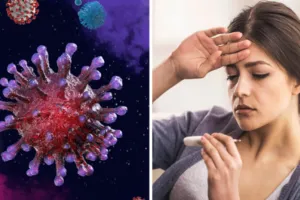 इन्फ्लुएंजा वायरस: उत्तराखंड में फैल रहा है एच3एन2 का प्रकोप, स्वास्थ्य विभाग ने जारी किया परामर्श  