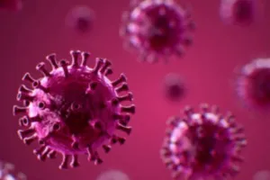 रुद्रपुरः H3N2 VIRUS को लेकर स्वास्थ्य विभाग अलर्ट, अस्पतालों में बेड़ों की संख्या बढ़ी 