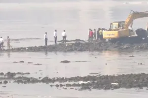 VIDEO: मुंबई के बीच पर बनी 'अनाधिकृत' दरगाह ढहाई गई, राज ठाकरे की चेतावनी के बाद एक्शन