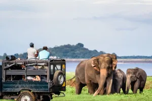 अरुणाचल प्रदेश: बाघ के कारण राष्ट्रीय उद्यान में लगा लकड़ियों के अवैध डिपो का पता 
