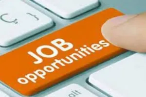 Jobs: यहां इन पदों पर निकलीं बंपर नौकरियां, जानें सैलरी और आवदेन प्रक्रिया