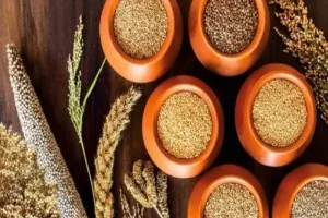 लखनऊ : मिलेट्स मेला में बताएंगे मोटे अनाज के फायदे