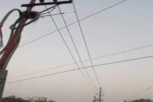 बहराइच: एचटी लाइन की चपेट में आने से दो मवेशियों की मौत, झुलसा युवक