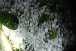 सीतापुर: बारिश और ओले से नष्ट हुई फसल, नुकसान का हो रहा आंकलन 