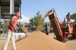 UP में आज से शुरू होगी गेंहू खरीद, 2125 रुपये प्रति क्विंटल है समर्थन मूल्य