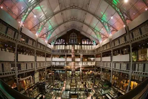 ब्रिटेन के संग्रहालय से नगा समुदाय के मानव अवशेषों को वापस लाने की प्रक्रिया जारी 