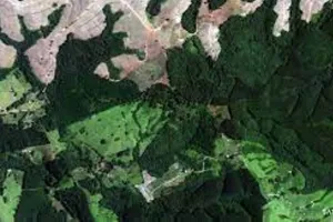 हल्द्वानी: जंगलों में अतिक्रमण बताएगी 20 साल पुरानी सैटेलाइट तस्वीरें