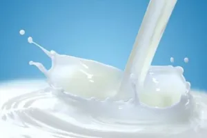 हल्द्वानीः दुग्ध उत्पादकों से गांव स्तर पर क्रय मूल्य में बढ़ोत्तरी,  प्रति लीटर रु 43 की बजाय देने होंगे 45 रुपये