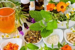 हर्बल दवाएं कम कर सकती हैं कीमोथेरेपी के दुष्प्रभाव : रिसर्च