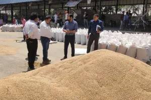 शाहजहांपुर: पुवायां मंडी में पहुंचे आरएमओ, कम खरीद पर जताई नाराजगी