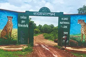 मध्य प्रदेश : कूनो राष्ट्रीय उद्यान के पास गांव में एक खेत में पहुंचा चीता, जंगल भेजने के प्रयास जारी 