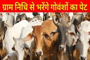 लखनऊ: ग्राम निधि से भरेंगे गोवंशों का पेट