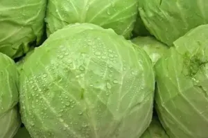 पीलीभीत: रहस्यमयी पत्ता गोभी खाने से चार लोगों की हालत गंभीर, अस्पताल में भर्ती 