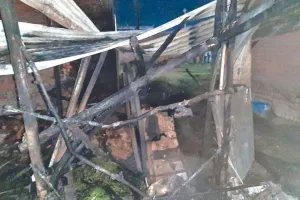 Gadarpur News: गोशाला में लगी आग में झुलसने से एक पशु की मौत, दो घायल