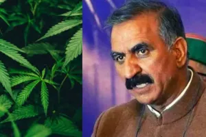 कर्ज में डूबे हिमाचल के लिए औषधि बनेगी भांग और अफीम की खेतीः CM सुखविंदर सिंह सुक्खू