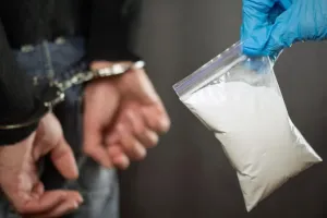 महाराष्ट्र : एनसीबी ने अंतर-राज्यीय गिरोह का भंडाफोड़ किया, 4.5 करोड़ रुपये के मादक पदार्थ जब्त 