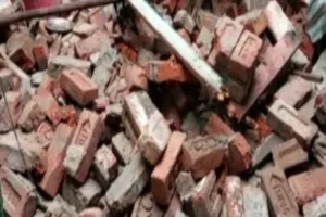 हरदोई में आंधी-पानी से तबाही, कई जगहों पर पेड़ गिरे- एक महिला और मवेशी की मृत्यु