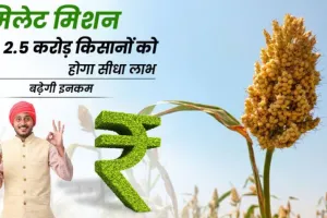 हल्द्वानी: मिलेट मिशन योजना के तहत किसानों को मिलेगा बीज