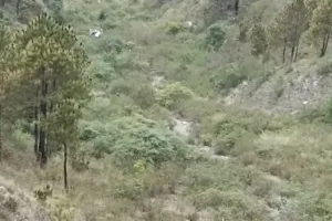 Uttarakhand News : टिहरी में दर्दनाक हादसा, गहरी खाई में गिरी कार, दो लोगों की मौत