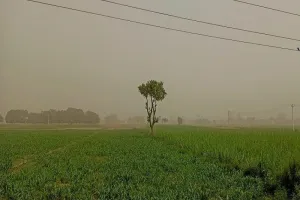 खतरा बढ़ा : प्रदेश में मुरादाबाद की हवा सबसे अधिक दूषित