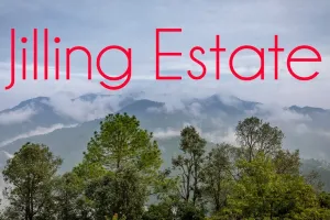 नैनीताल: जिलिंग एस्टेट में निर्माण पर 12 को सुनवाई,  44 विला, हेलीपैड और रिसॉर्ट कॉटेज सहित अन्य का निर्माण का मामला