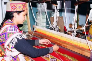 देहरादून: कश्मीर की पश्मीना असली है नकली... इसके लिए अब देहरादून में बनी देश की पहली लैब देगी Certificate