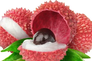 रामनगर: अब रामनगर की लीची नहीं जनाब गोला गुलाब लीची बोलिए...