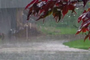 अल्मोड़ा: पर्वतीय क्षेत्रों में जमकर बरसे मेघ, ठंड ने कराया एहसास, देखिए कहां कितनी हुई बारिश