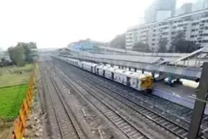 कर्नाटक: मालगाड़ी की चपेट में आने से 17 भैंसों की मौत