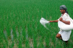 खरीफ सत्र के लिए 1.08 लाख करोड़ रुपये की उर्वरक सब्सिडी को केंद्रीय मंत्रिमंडल की मंजूरी