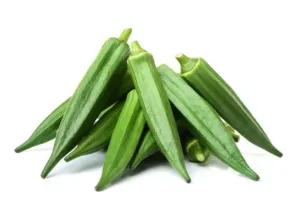 दिनेशपुर: जैविक खाद से तैयार भिंडी की बाजार में मांग बढ़ी    