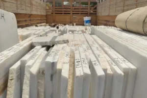 अयोध्या: राम मंदिर का दरवाजा तैयार करने में जुटे हैदराबाद के कारीगर, वैदिक मंत्रोच्चार के बीच शुरू हुई कार्यशाला